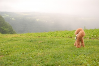 y@̒ŗVFranł͂悤💚