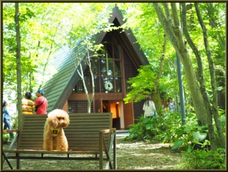 ȃrB̃ev[gύXĂ݂܂BgbvFrañJo[摜ɍ킹