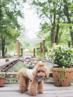 ^AZFran♡łɂ́`ŁAAȏ͊m\̈ÔvZĂ܂BCt΁A