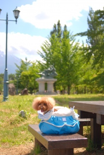 ͌΂ւQOPRN̍FranƍsĂ`̃u[̃L[obNCɓł