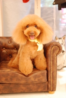 ���̎ʐ^��I��ŁA�܂�Fran����O�b�Y�W�߂��