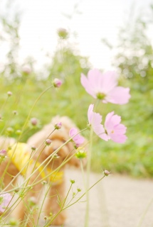 �͌��Α�Ό�����Fran����ƃR�X���X�ł��͂�💗