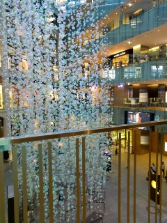 �Q�K���猩��ƃN���Q�݂���😆