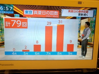 �����s�^�ē���79����������������B�����Ė������^�ē��݂����Ȃ̂�