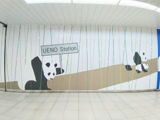 ���w�̃p���_�ł��͂�☀️