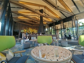 �C���f�B�S �`�G�b�N�C��💕