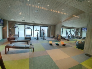 �����̓W���s����