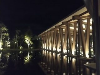 ��ɂȂ�ƈ�C�ɗ΂̍��肪�������߂�A���ꂪ�����ɂ͖����ȁ`