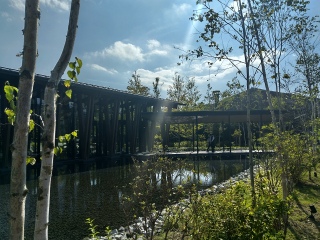 �Ȃ�ƁA�������Ⴄ�F���C���f�B�S���H�𒸂��ɗ���́B�����̒��H�́A