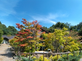 �|���I����GAFLO���񗈂Ă݂�🥰�g�t�������ǂ�������