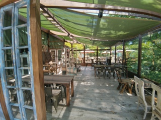 �g�C�����O��5�ʂ���������1�ɂȂ��Ă��܂�����B