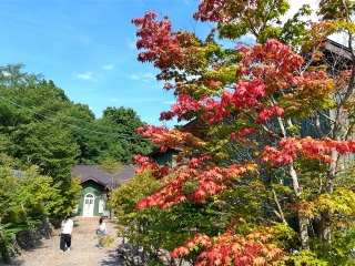 �����̍g�t�͖{���ɑ�����❗️