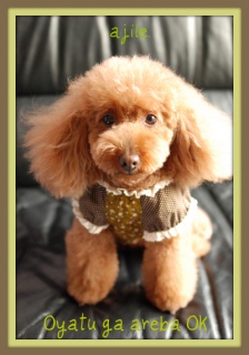 �ŋ�SNS�������R�֌W���痣��@�ʂ̐��E��`���Ă݂�Ɓ@�l����������������������񂾂Ȃ��`�v�����肵�ĂŁA�A