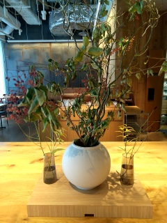 MUJIHOTEL �f�p�Ȋ����őf�G💕