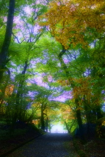 �e����������Ƃ��U���������A�A�A�e����������߂��ė��Ă���Ȃ����Ȃ��`