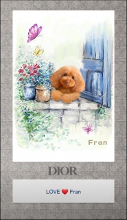 Dior Fran̕ǎĂ݂🥰