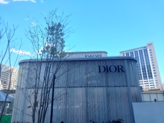 Dior܂I[vĂȂ{{Cg_̂ƎvY킻IȑODior ̌ݒ̈͂̕DȁA🤣