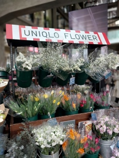 UNIQLOFLOWERȂȂuĂX܏Ȃ̂ˁA