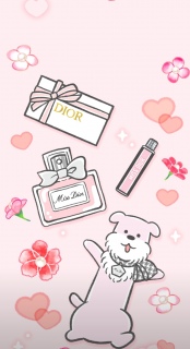 Dior̕ǎ❤