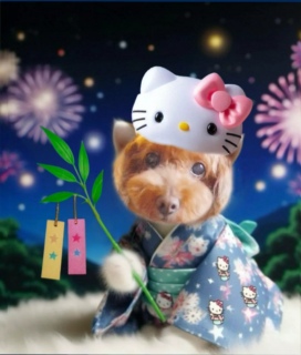 🎋ˁBFran񗁈߂🥰