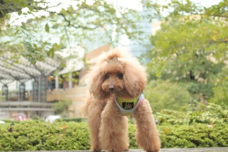 Z{؃qYłFranł͂💓