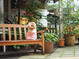 `[`Xg[głFranł͂💓