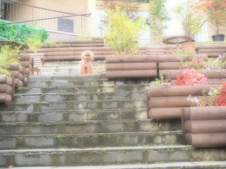 `[`Xg[gł̂eł͂💓