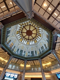 �����w�A�����z�����܂��l�ɎB�����Ⴄ🥰