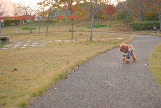 ����܂���`��Fran����ł��͂�💓