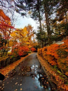 ywɗFɌ}ɗĒAvԂ̂Ζ🥰