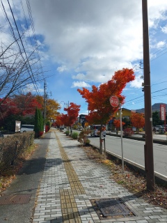 ywO炨͂[☀😃‼͗ǂVC