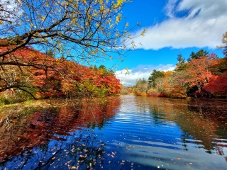 Ẳ͍_rAE̗tς̉Jŗ