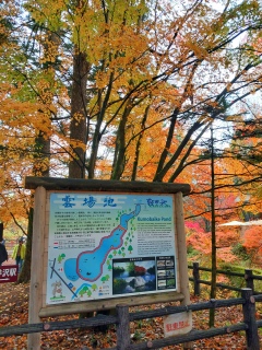 Ƃ͕ςč͗ǂVCAz[U􂵂ă^J[؂Ă܂͉_rxA