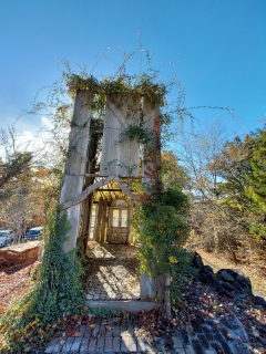 R݂ȂŎʐ^BĂˁAFran񂪋ĂĂ͂̃JtF͖̂