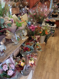 ŗǂFranɂԂ𔃂ȁ`5NOˁAA