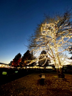 AEgbgł͉CCȂ̂ŌywsȁH