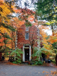 AĂCĂ܂蒆A₟`ʐ^B܂B