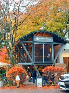 _r̃XgɐAFranƓ񗈂B