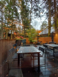 FɌyw11߂Ɍ}ɗĒA܂͉_rւă`