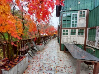 ͉̓ĴŃeX͂ȊŐÁAA