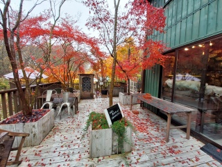 XV䂪΂̂ɁAǁ[ēX˂😅