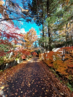 Ƃ͂ĕςĂVCǂ󂪐IF,😱😱😱