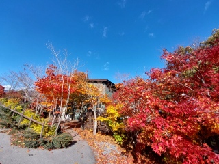 cłHׂāA񏉂߂Ă̂🥰