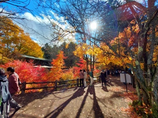 iFłzAoĂ̂ƁAoĂȂ̂Ƃł́ASႤ