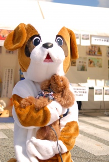 ݂ɕĂт肷Franł͂💛