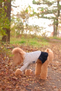 ܂ڂTĂFranł͂💛