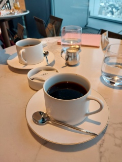 �F�������f�B�J�t�F