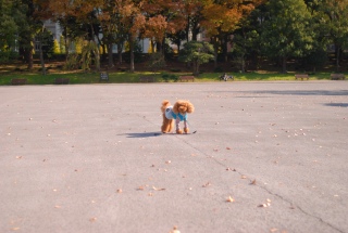 ۂƗĂFranł͂💓