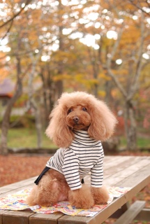 x`ɂ傱Ƃ肵ĂFranł͂💓