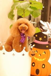 �g���~���O�T�����ł�Fran����ł��͂�💓